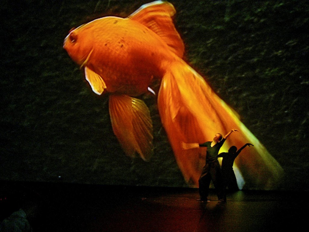 5. P.Bausch dancing a solo of her choreography “Danzón” © J.Viehoff 2016