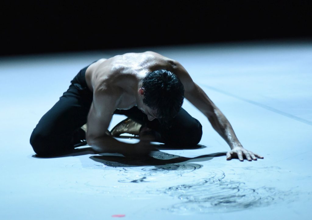 11. R.Guerra, “Nijinski” by M.Goecke, Gauthier Dance © R.Brocke 2016