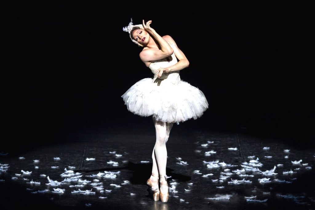 6. “Dying Swan”, Les Ballets Trockadero de Monte Carlo © M.Orcelli