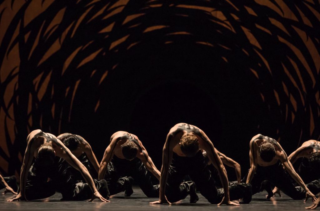 7. Ensemble of Ballet Zurich and dancers of the Junior Company, “Emergence” by C.Pite, Ballet Zurich © G.Batardon