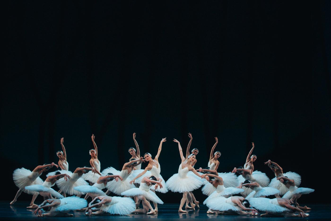 10. Ensemble, “Swan Lake” by A.Woolliams after M.Petipa, The Australian Ballet 2023 © K.Longley