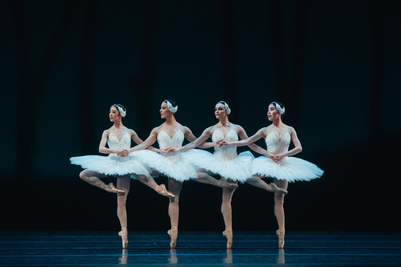5. Y.Yamada, J.Ogai, J.Wood, and A.Watanabe (Cygnets), “Swan Lake” by A.Woolliams after M.Petipa, The Australian Ballet 2023 © K.Longley 